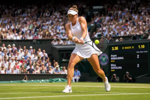 Professional tennis match