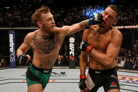 UFC octagon fight